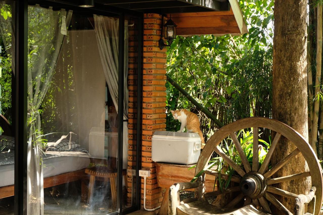 Ashi Guesthouse Chiangdao Chiang Dao Eksteriør bilde